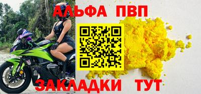 дмт Гай