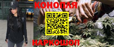 дмт Гай