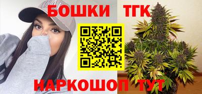 дмт Гай